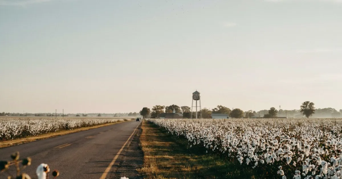 Alabama landscape