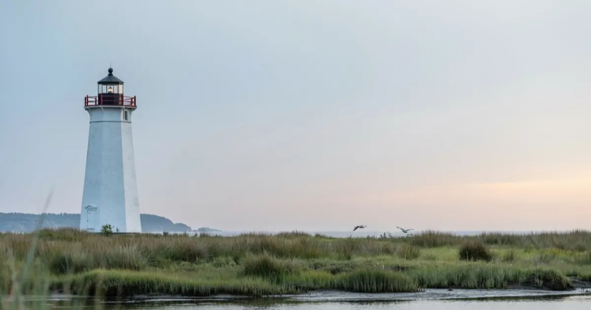 Delaware landscape