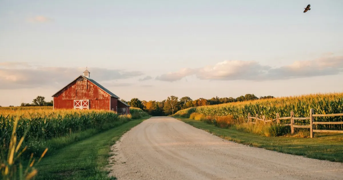 Indiana landscape