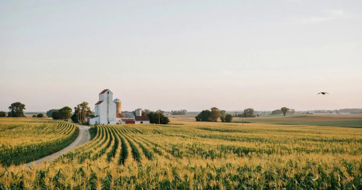 Iowa landscape