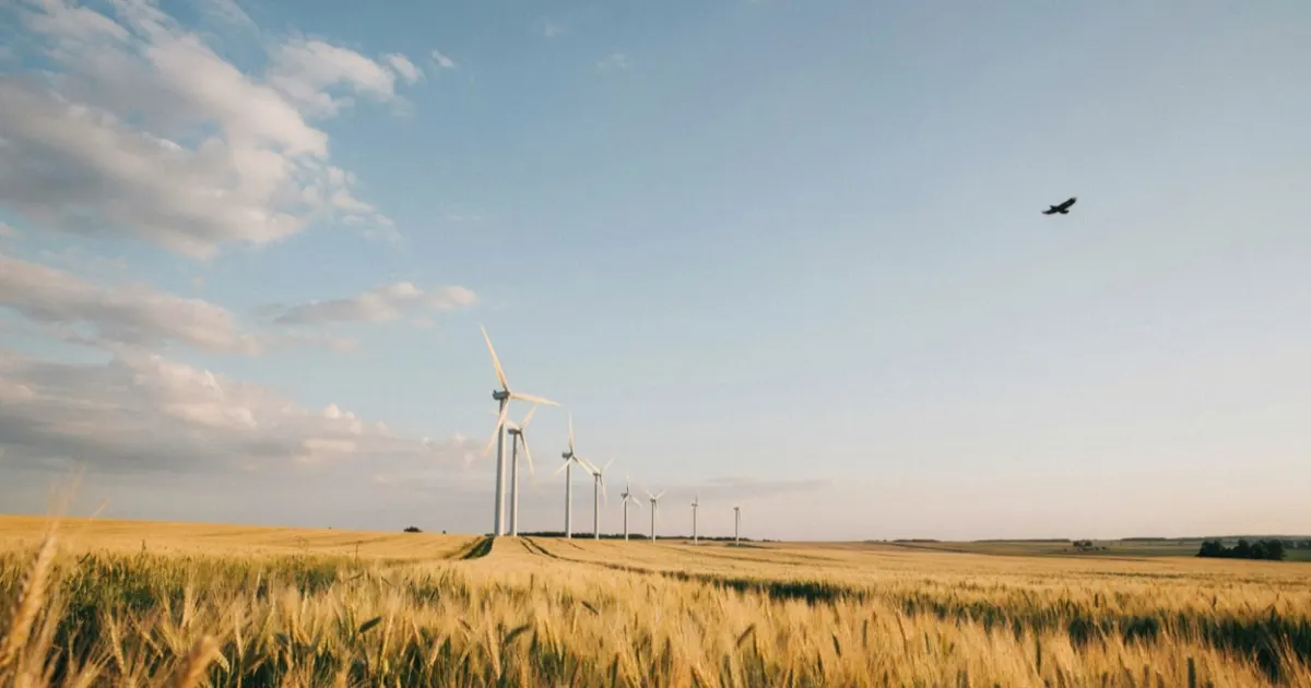 Kansas landscape