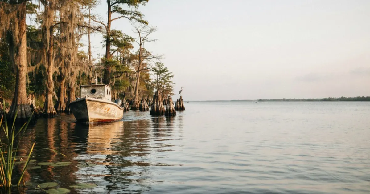 Louisiana landscape