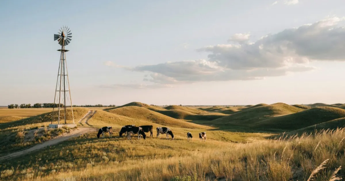 Nebraska landscape