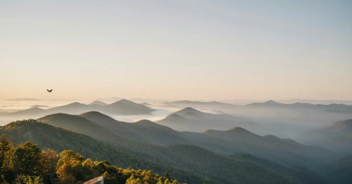 North Carolina landscape