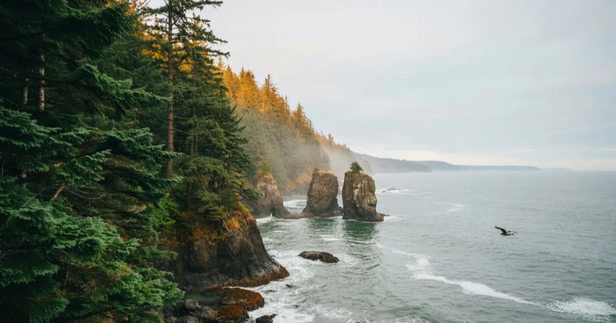 Oregon landscape