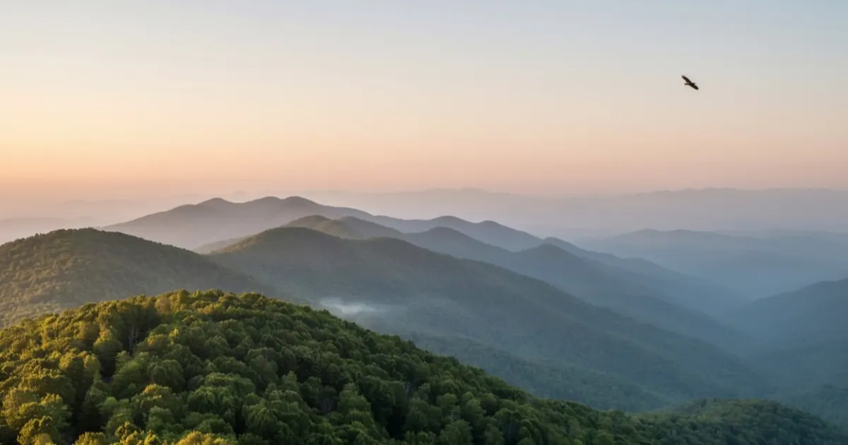 Tennessee landscape